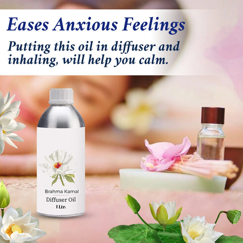 Brahma kamal oil eases anxious feelings