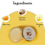 Ingredients coconut lip balm