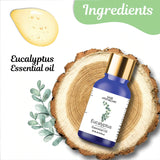 Ingredients in Eucalyptus Essential Oil