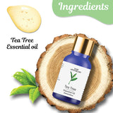 Ingredients in tea tree essential oil