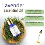 Levender Essential OIl