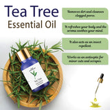 Tea Tree EssentiaL Oil